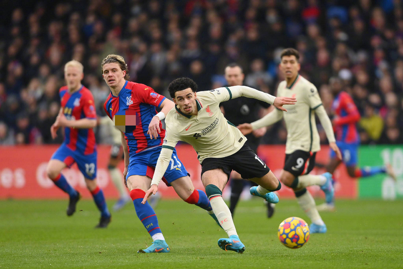 湖人队在整 湖人队在整