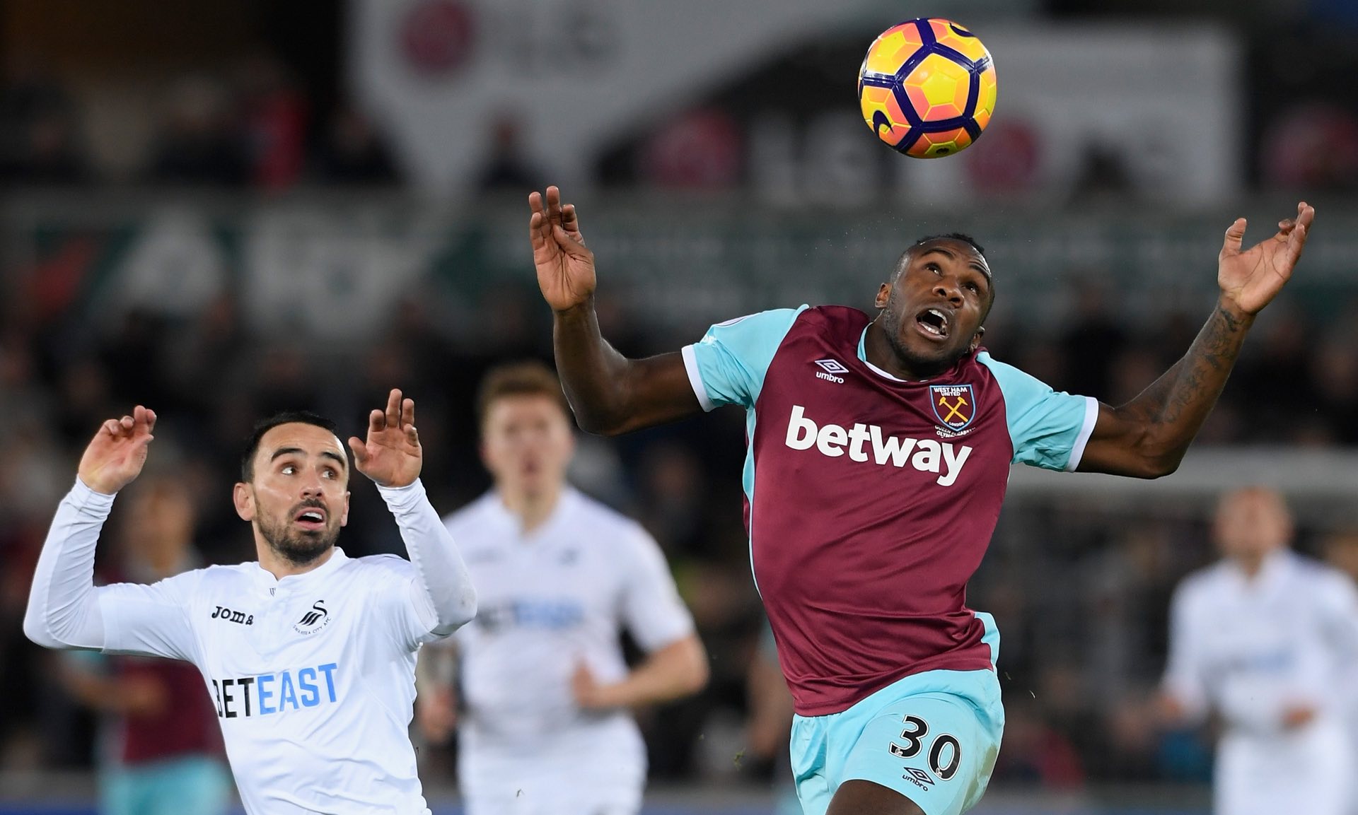 参考指标 参考指标